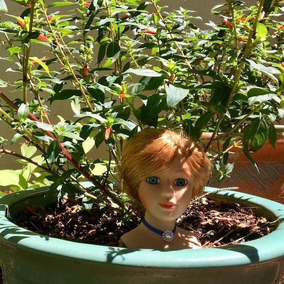 Meet your Posher, Paula - Picture 1 of 1